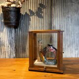 Old small shop window