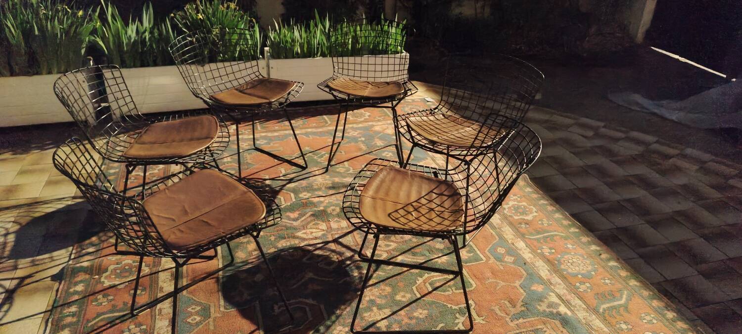 6 chaises Wire Harry Bertoia noires