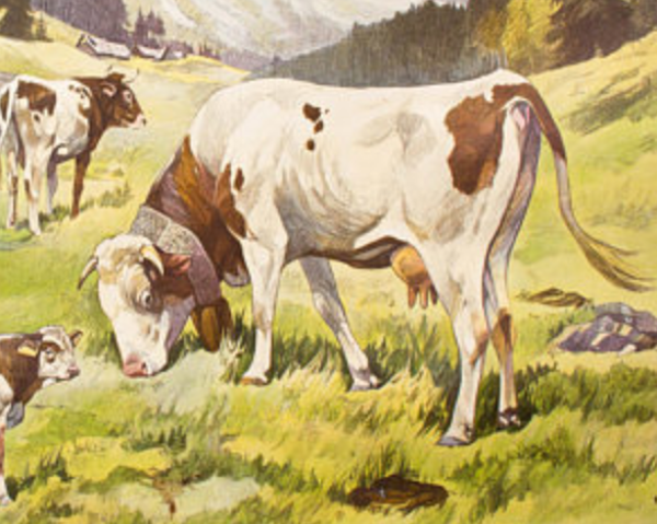 Affiche ''Vaches'' grille éducatif Franz Roubal 1925
