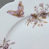 6 Superbes Assiettes Anciennes XIXème En Porcelaine Blanche Décor Oiseaux