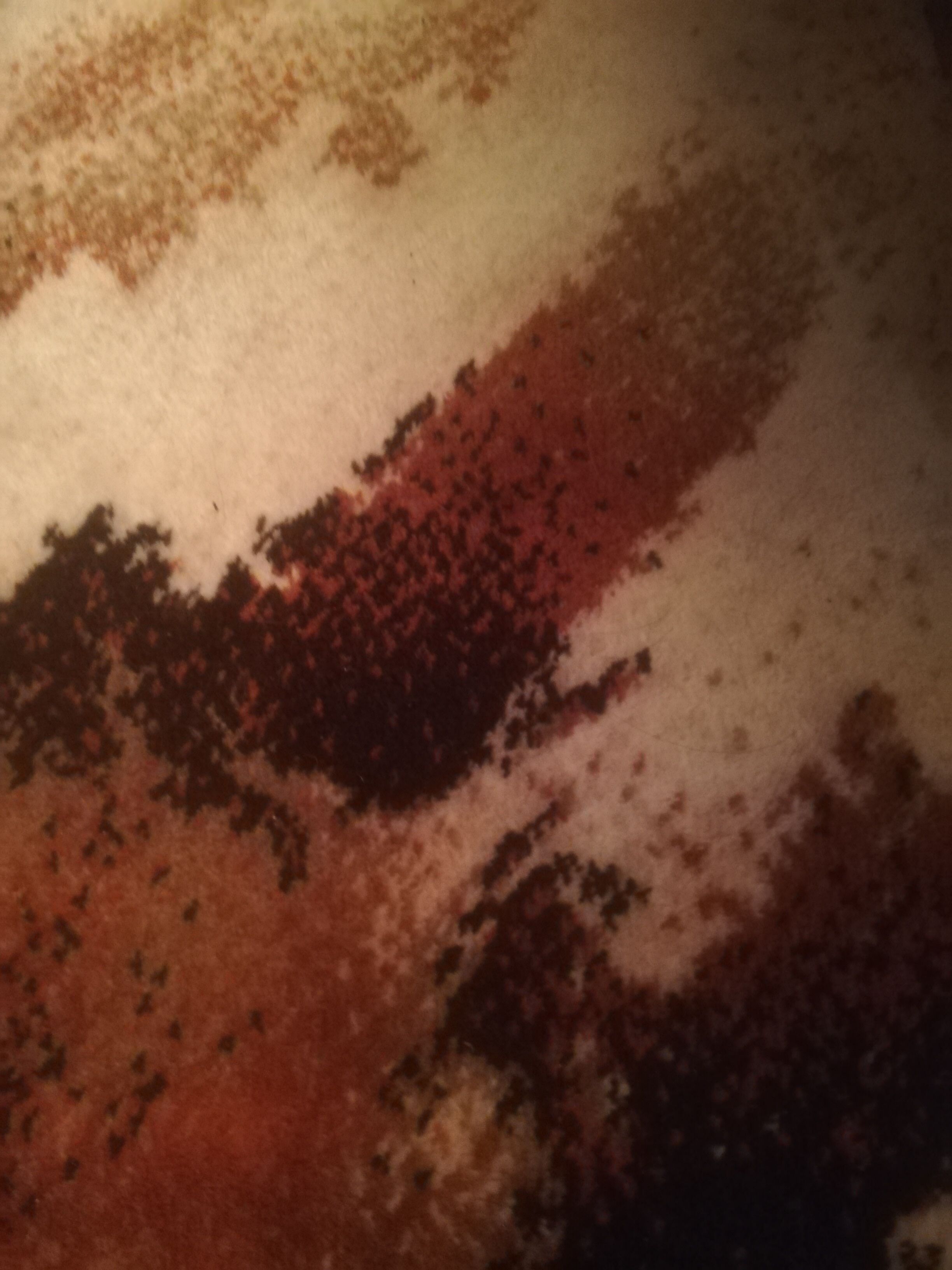 Carpet  200x280cm