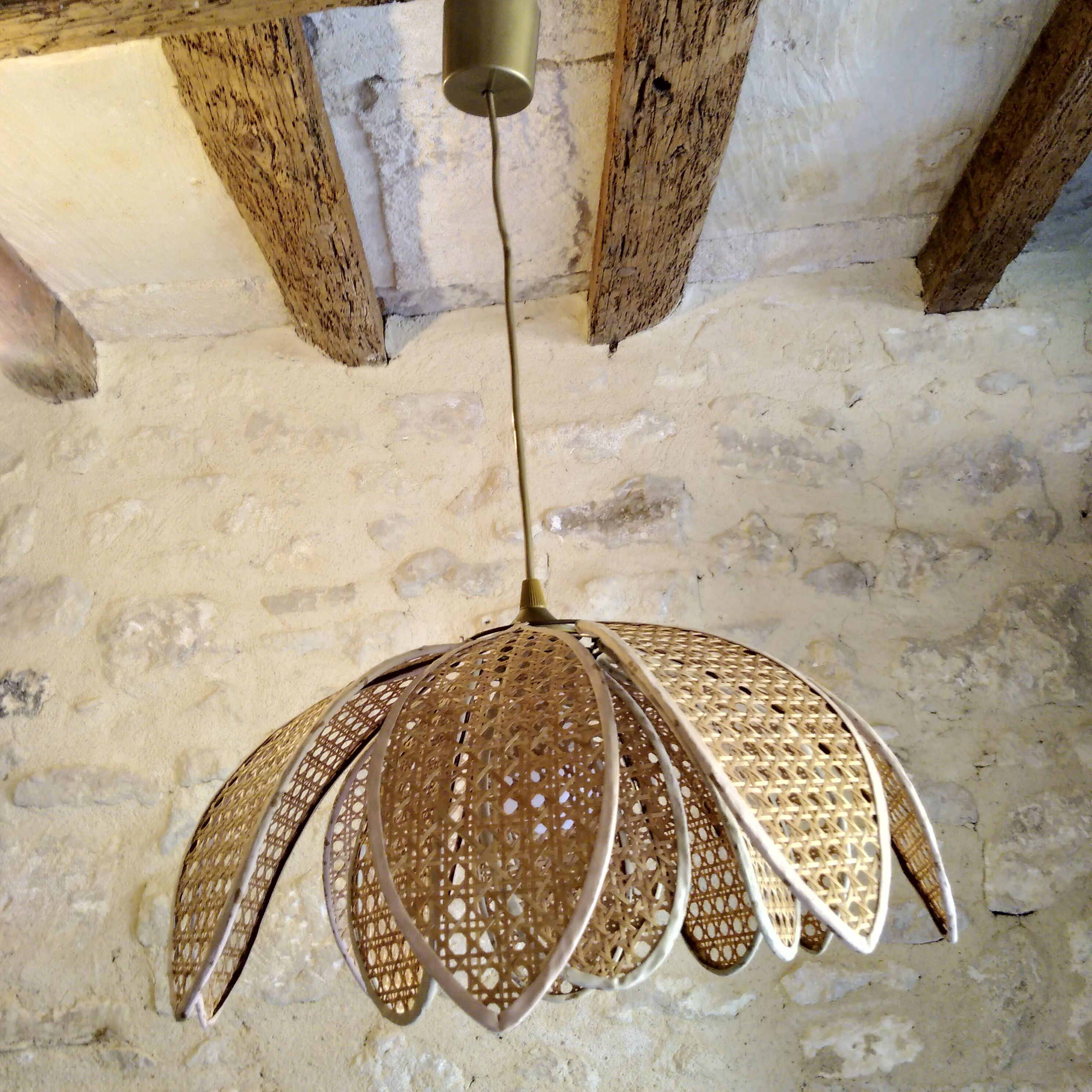 Lotus suspension in vintage cannage