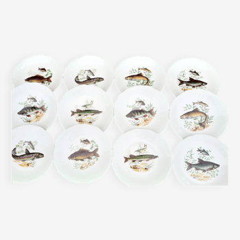 12 fish plates, chamtoured, Sologne porcelain