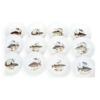 12 assiettes à poisson, chantournées, porcelaine de Sologne