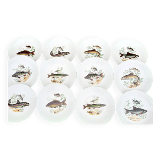 12 fish plates, chamtoured, Sologne porcelain