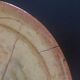 Decorated terracotta duo of dishes