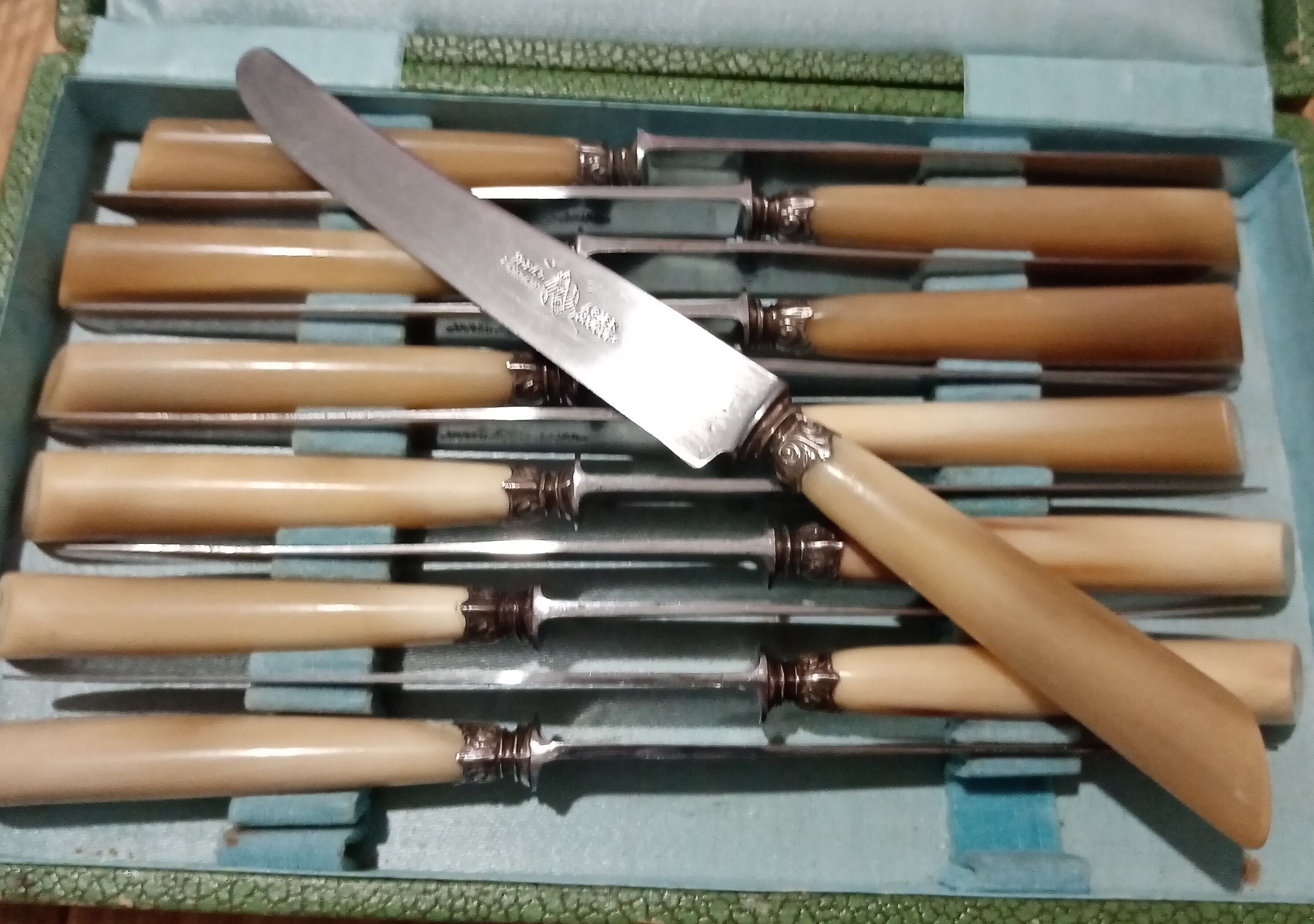 Box 12 old cheese knife 19th blade steel virole silver handle horn