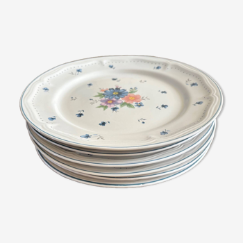 Porcelain dinner plates