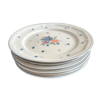 Porcelain dinner plates