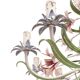 Florentine chandelier with 12 lights