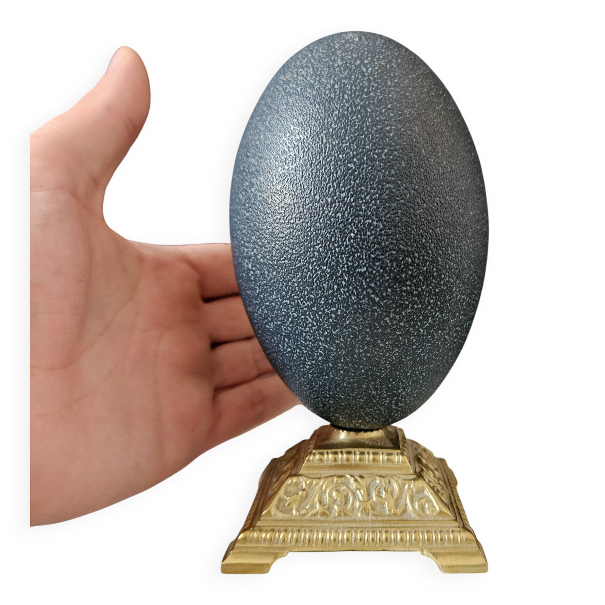 Emu Egg, Brass Base (Early 20th Century) H: 16 cm | Curiosity Item