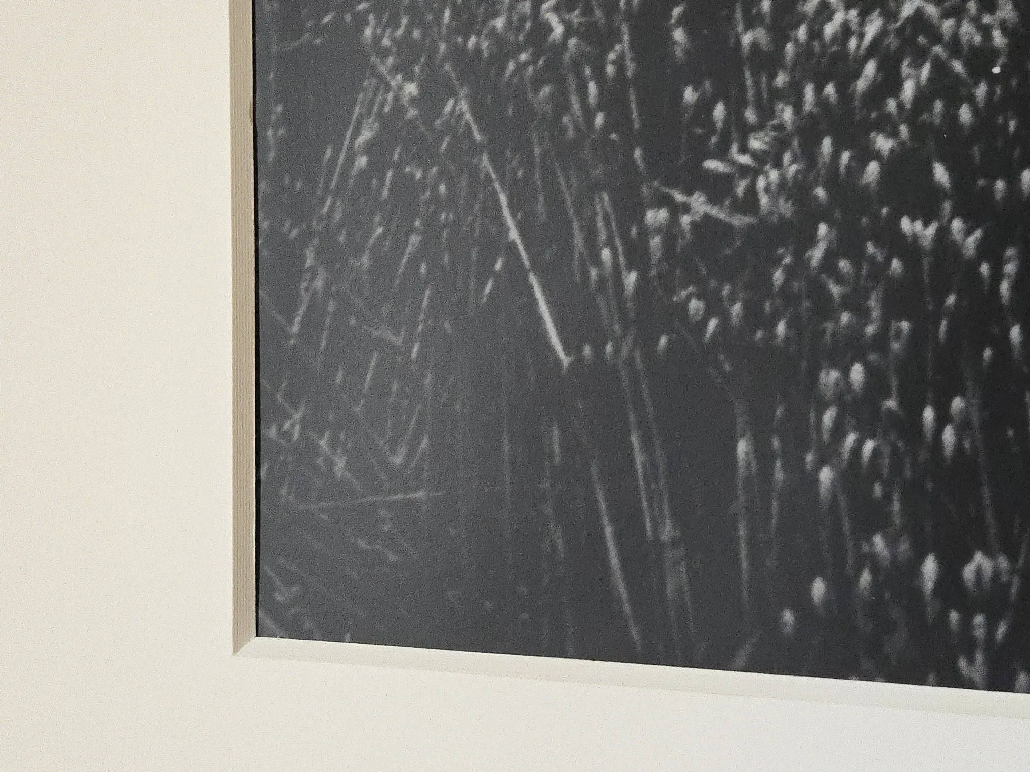 Vintage photograph print 1985 analogue XXL
