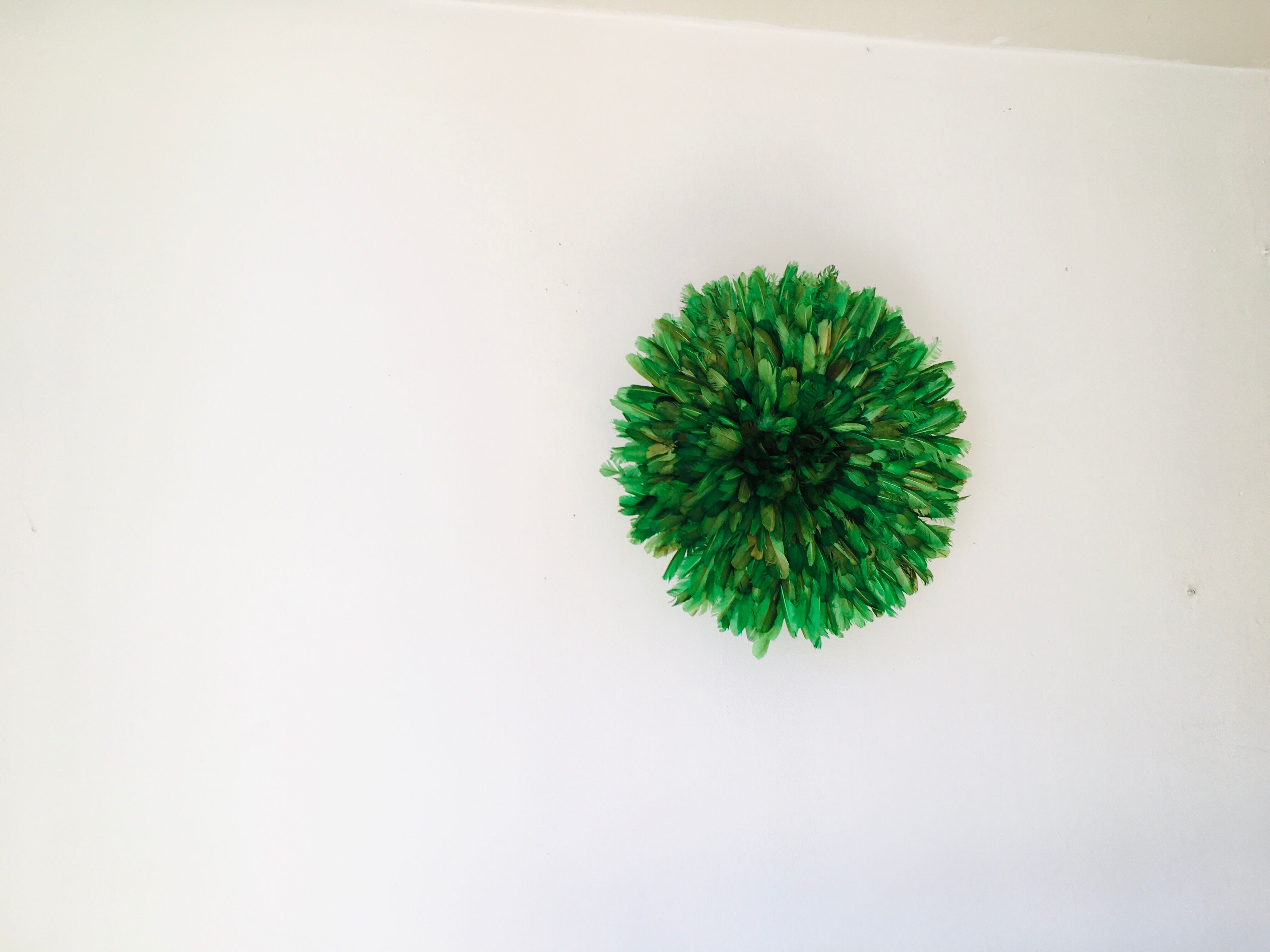 Juju hat vert 50 cm