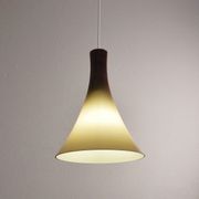 Vintage glass suspension