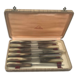 11 knives in stainless steel and Bakelite appolonox in their original vintage box