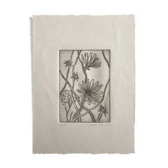 Original etching signed by Violayne HULNÉ, Study of Clematis, 1984