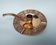 Ashtray and bronze candle holder with the 12 astrological signs of the zodiac