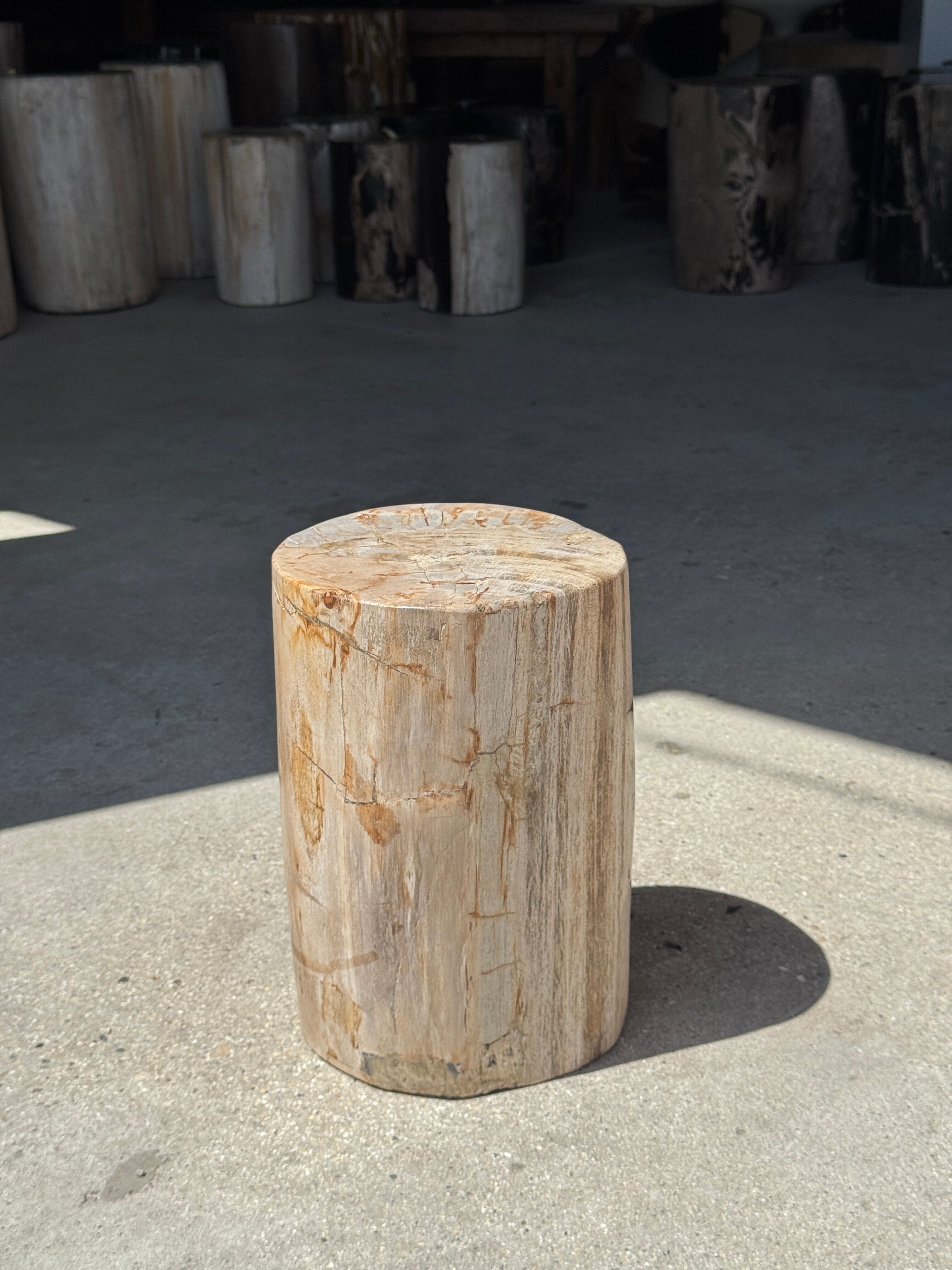Small side table in white, grey, beige petrified wood H28 D18 - 3330