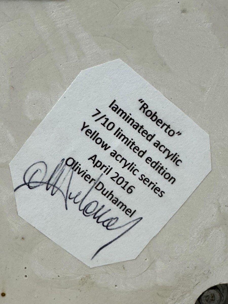 Acrylic male bust by Olivier Duhamel