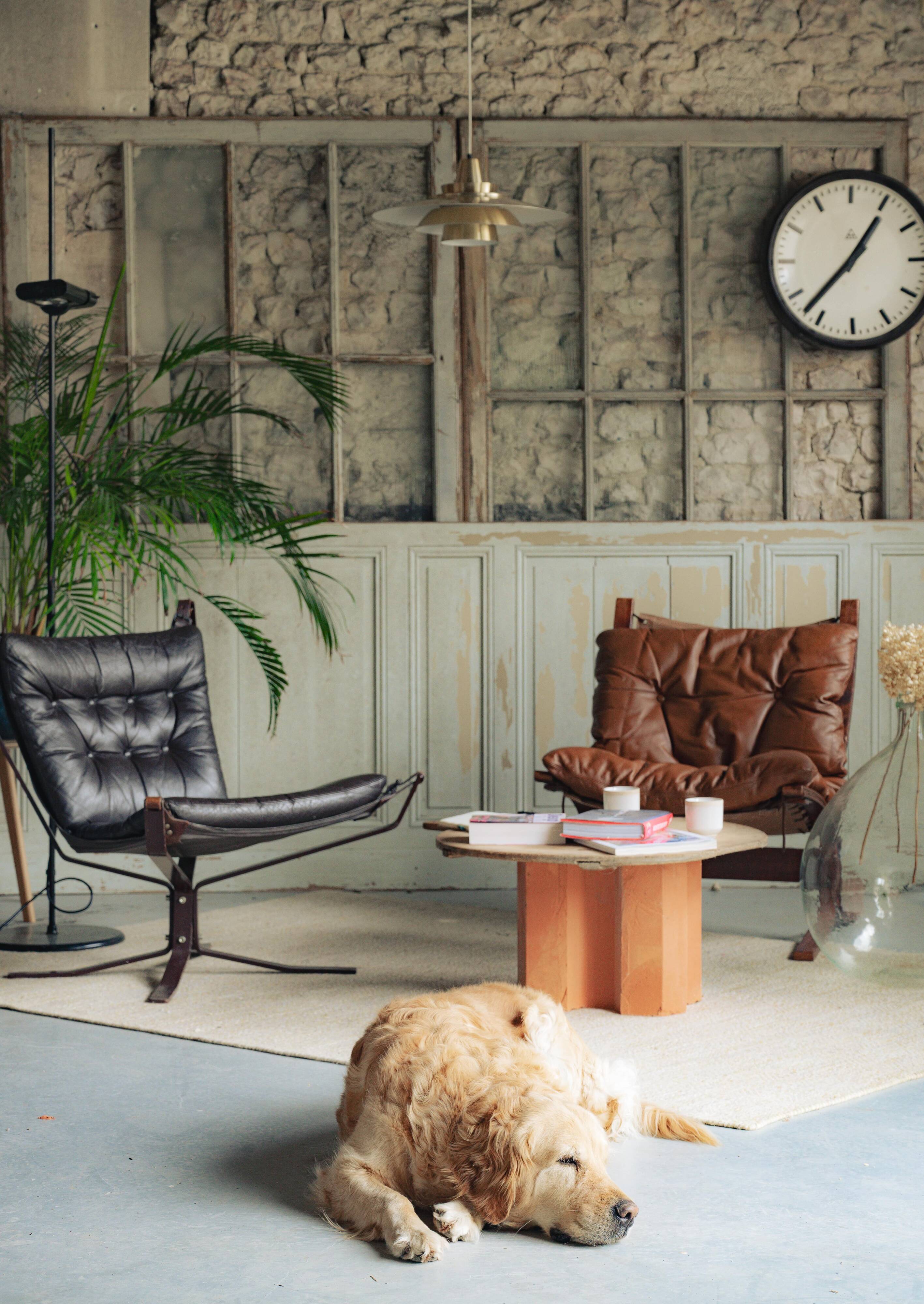 Siesta armchair by Ingmar Relling