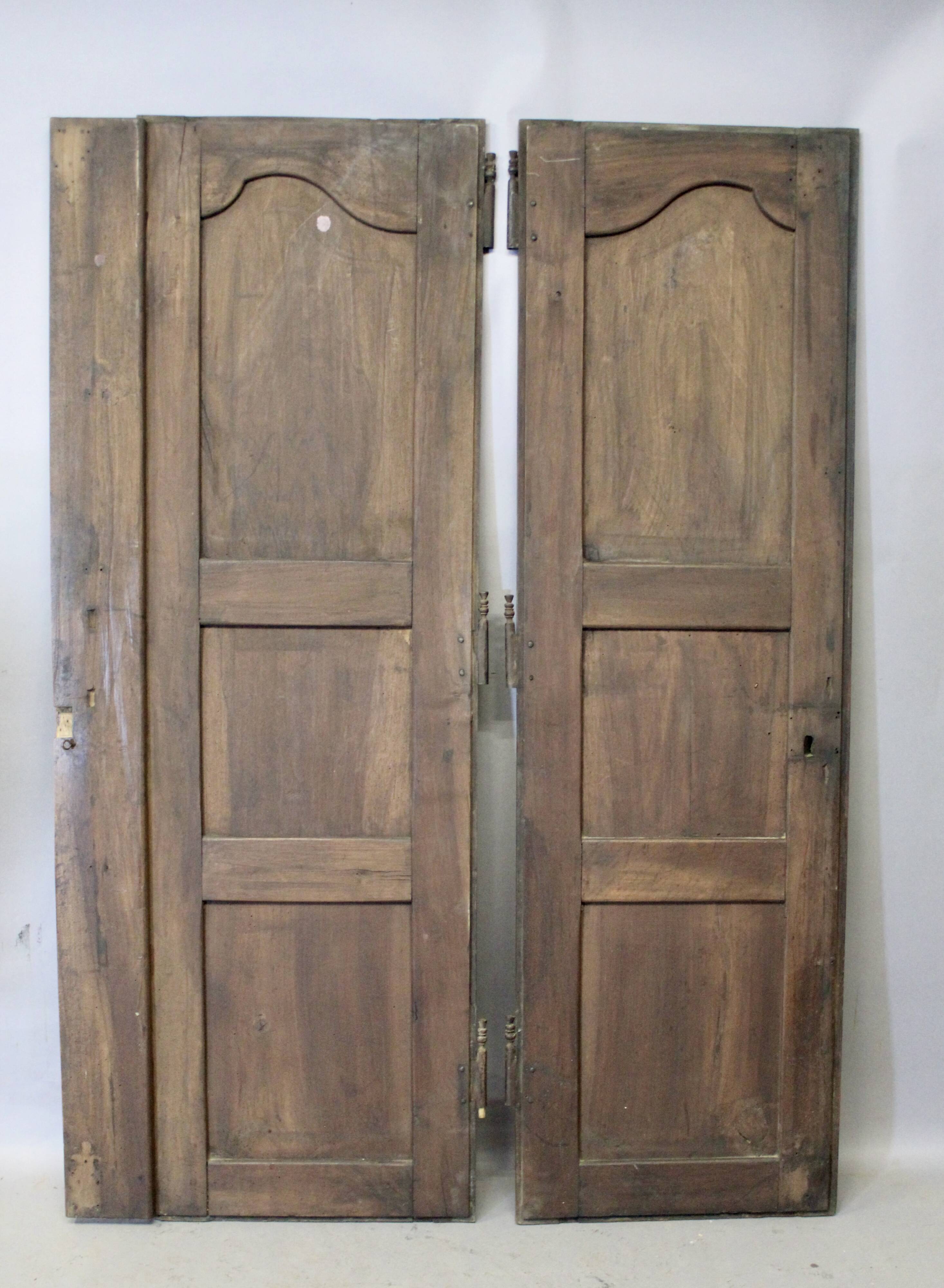Pair of Louis XV walnut doors with medallion