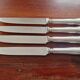 Ercuis - Set of 4 table knives model Chinon with metal outline.