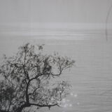 Anonymous silver photo sea circa 1970