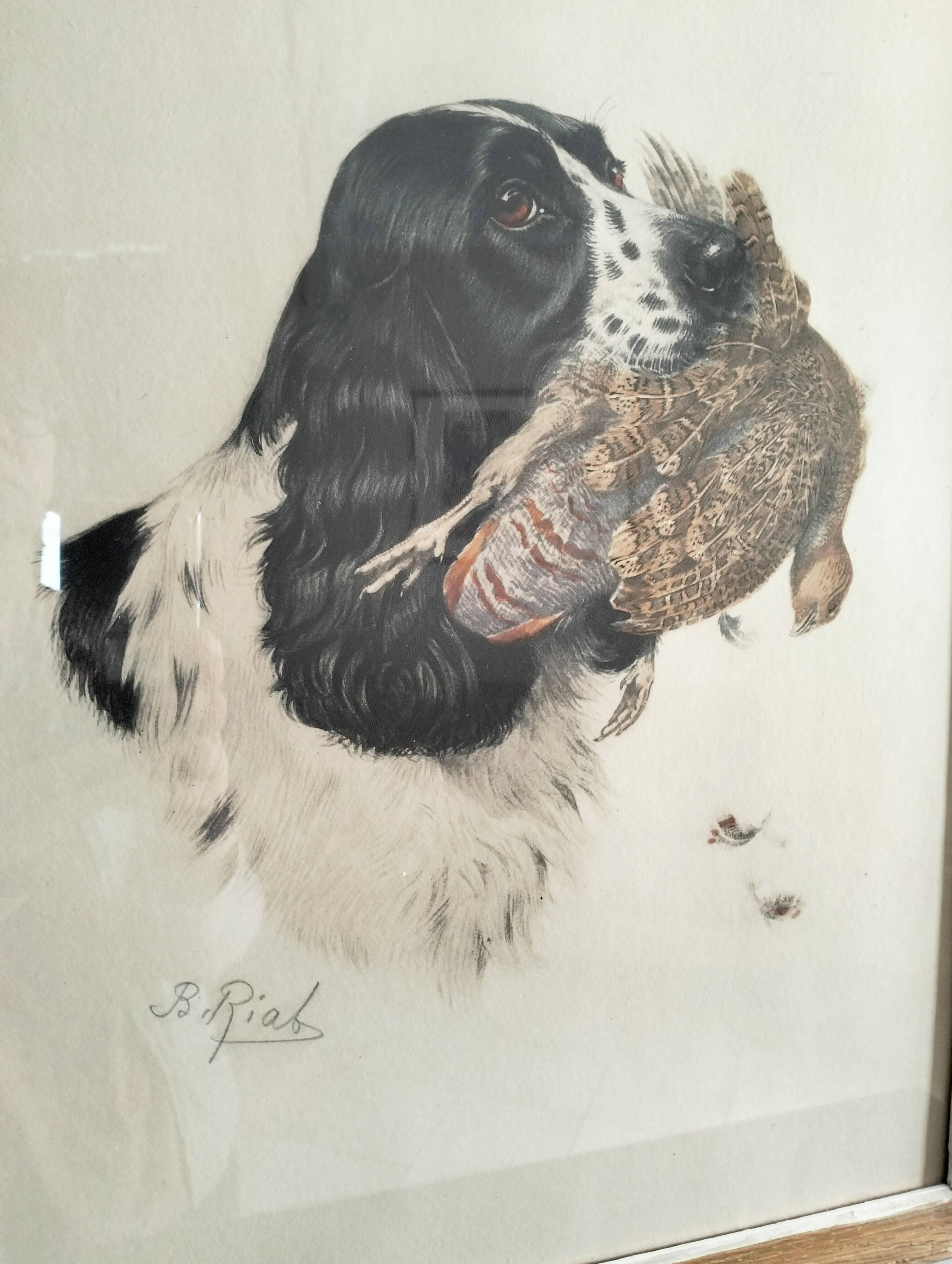 Animal lithograph