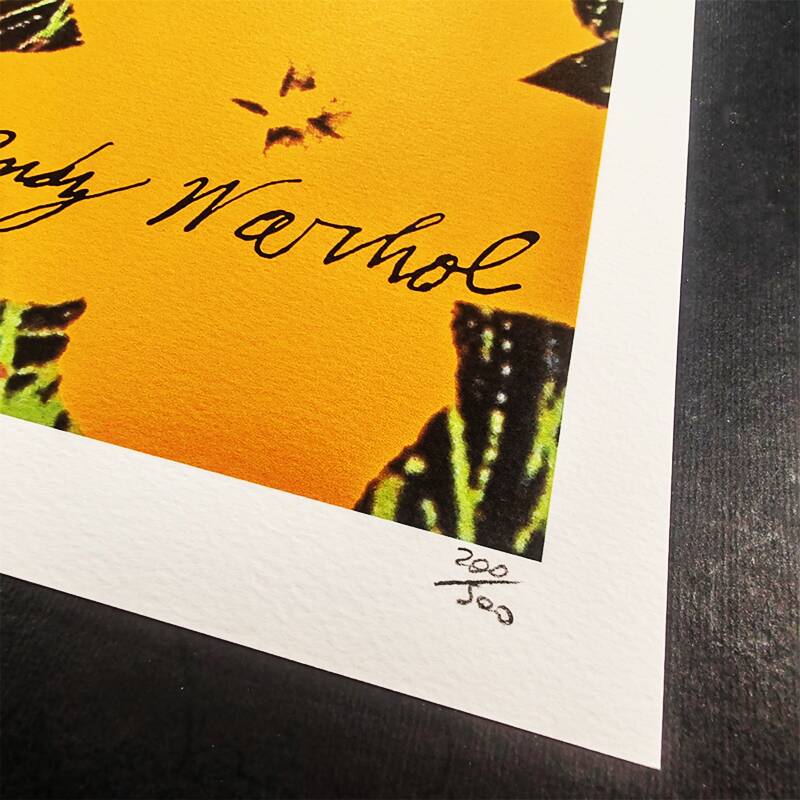 Lithographie en édition limitée Andy Warhol "Flowers" années 1980 par CMOA