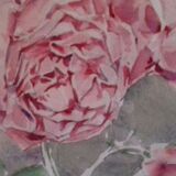 Ancient watercolour painting "3 blossoming roses"