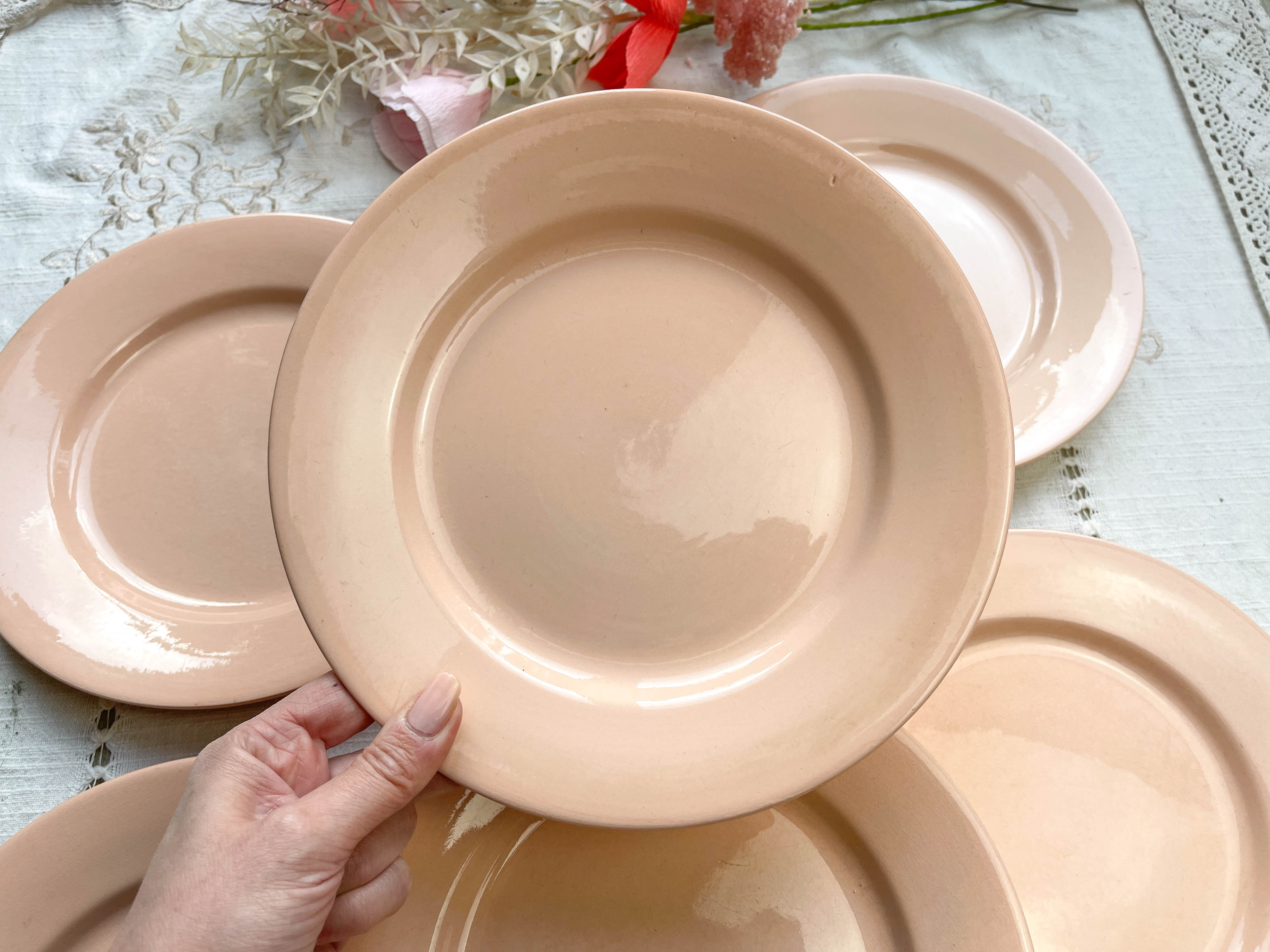 7 Flat plates Rose Digoin Sarreguemines