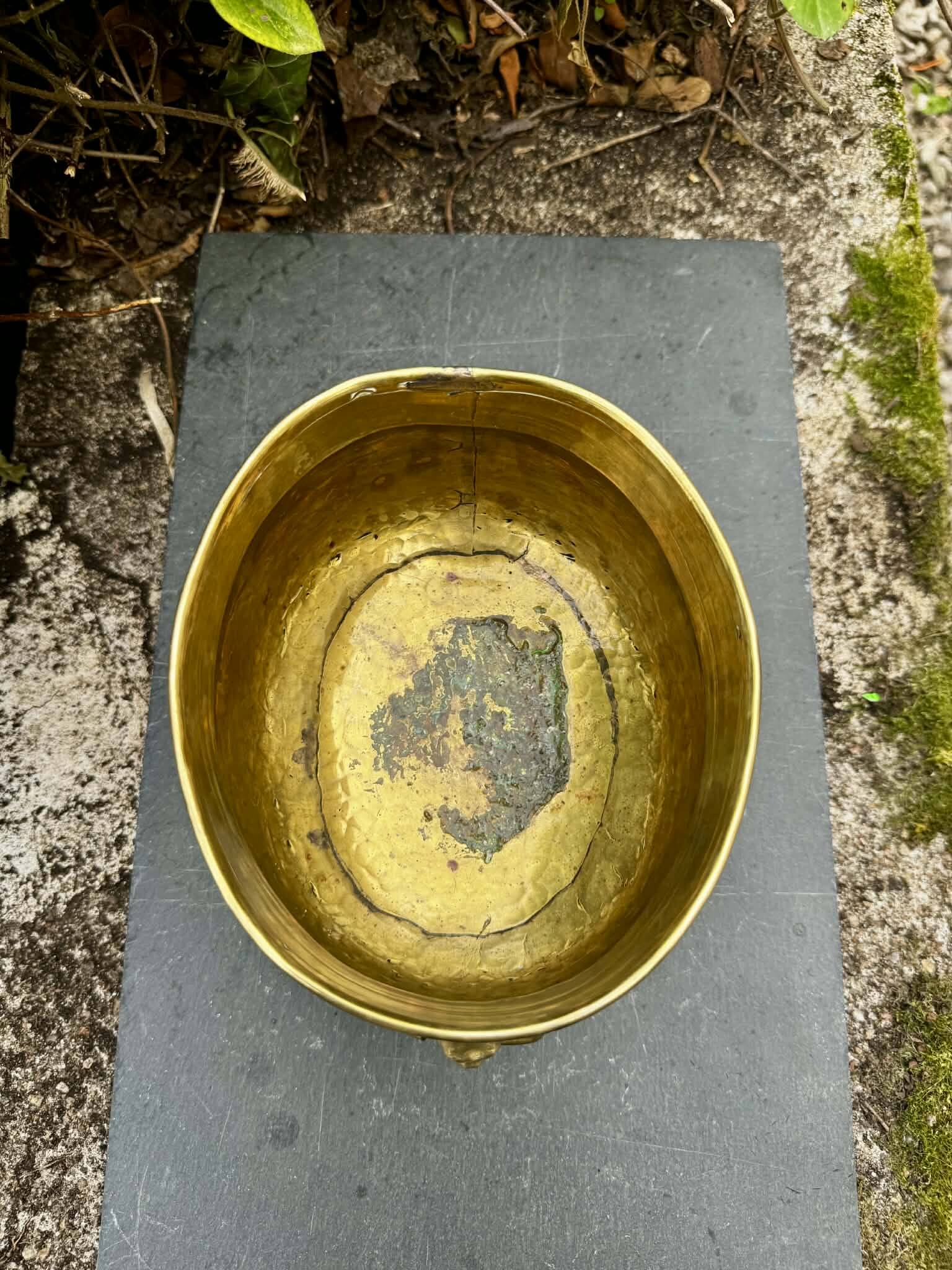 Baroque lion brass jardinière