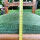 6 lounge chairs old Louis XVI Directoire style