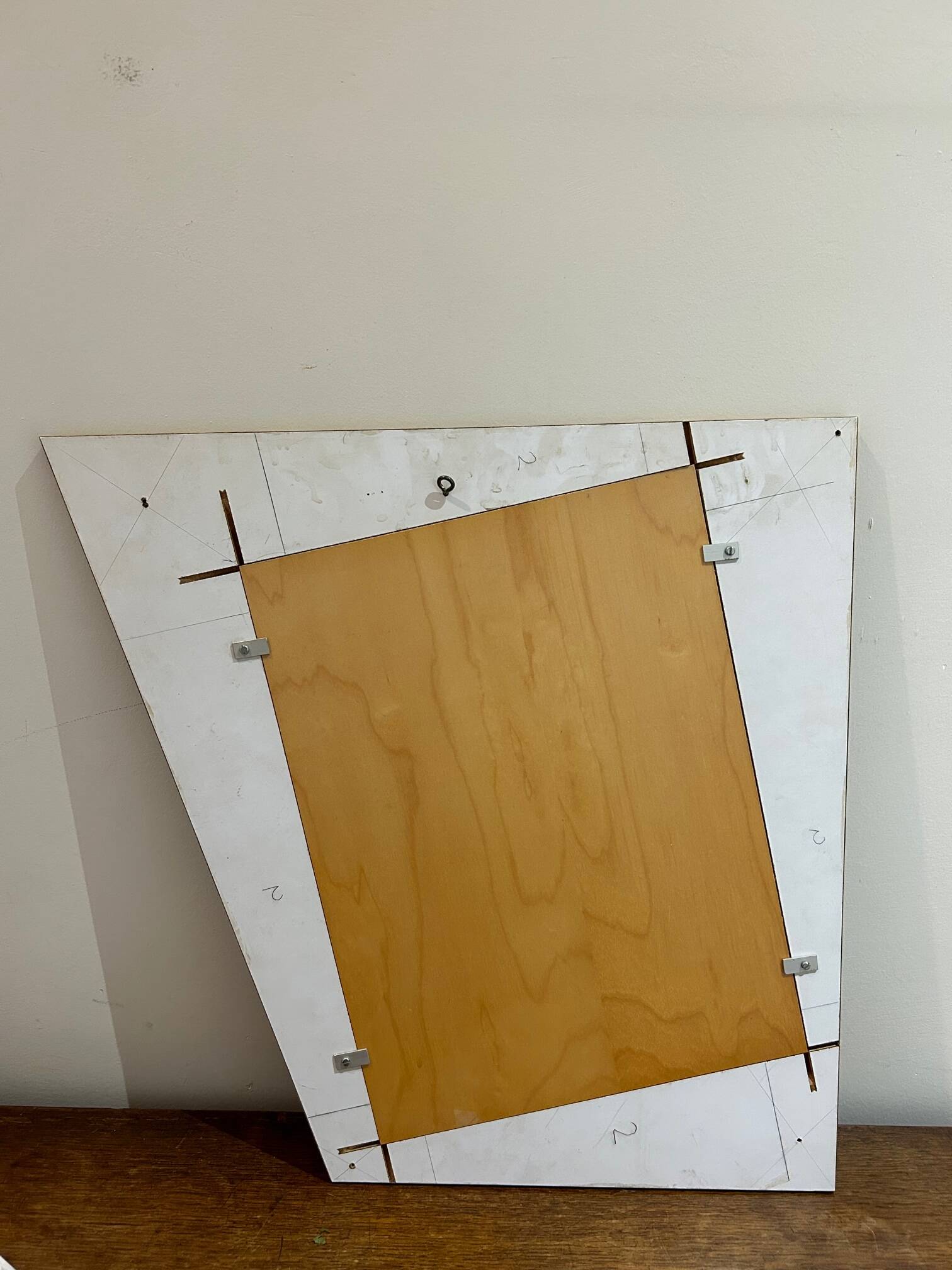 Old parrot lithograph