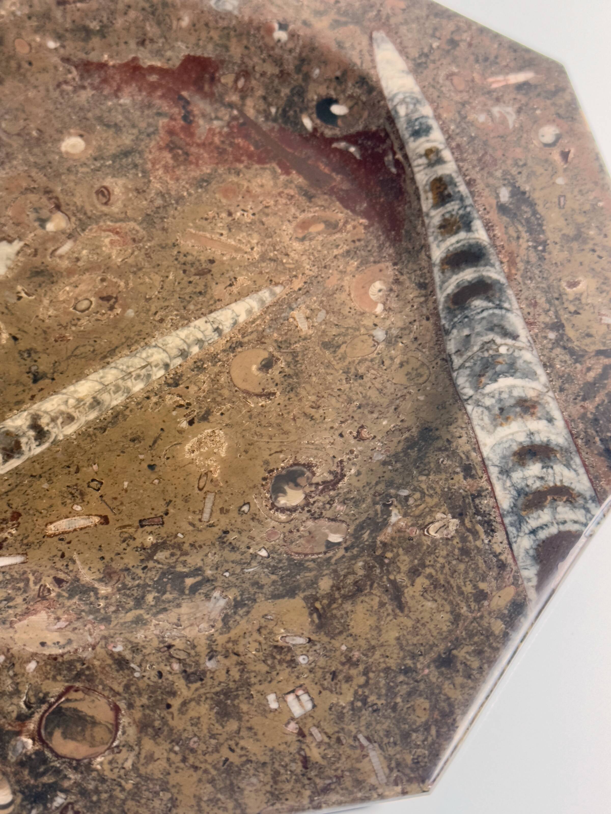 Ammonite Fossil Marble Placemat Bowl and Plate