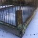 Metal bird cage