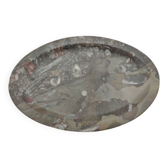 Fossil polished marble dish