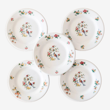 5 assiettes Sarreguemines en porcelaine décor oiseau