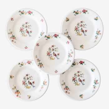 5 Sarreguemines porcelain plates bird decoration