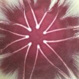 Vintage Dümler & Breiden glazed ceramic polylobed bowl (1960s)