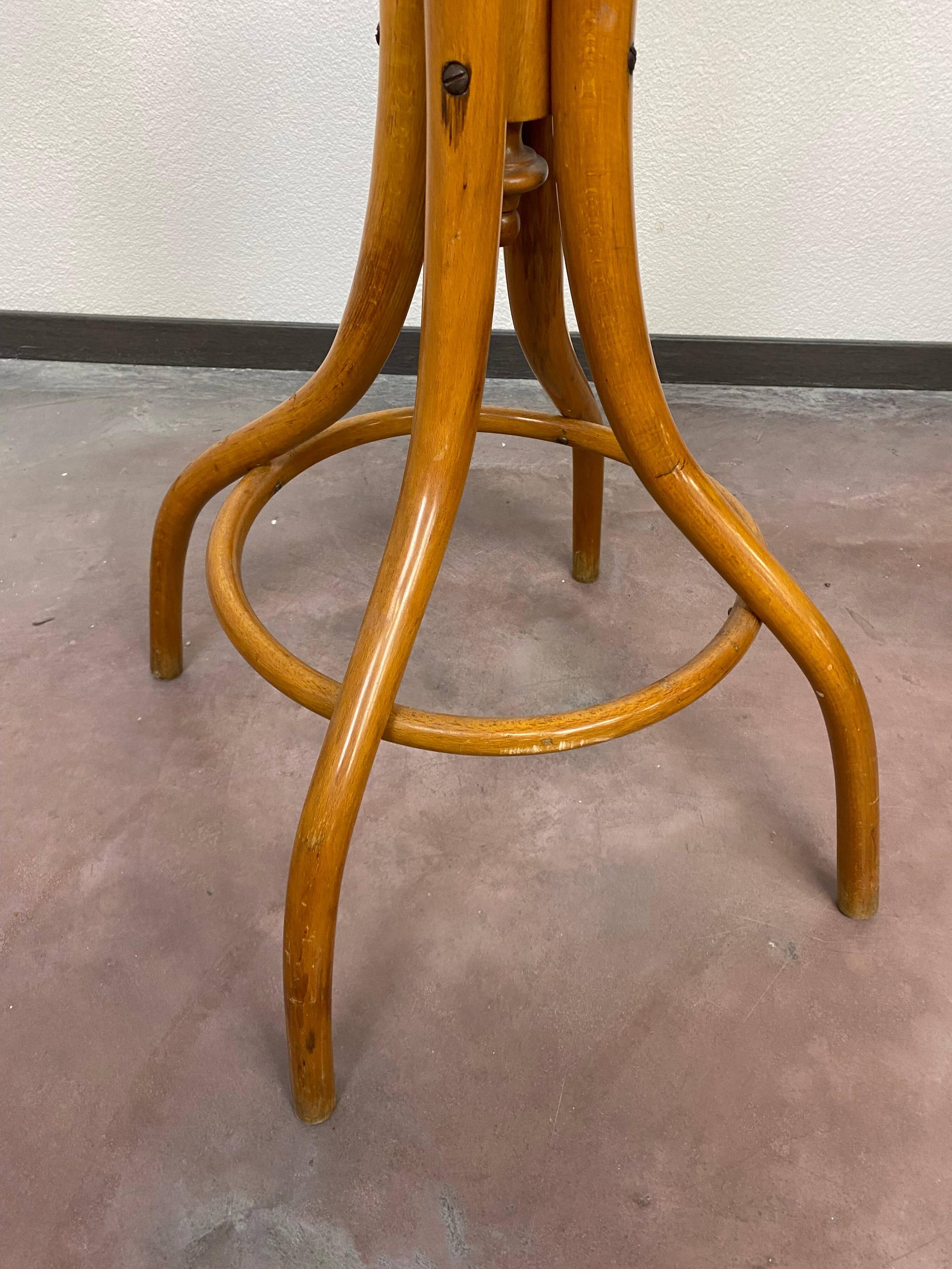Plant support by Thonet