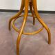 Plant support by Thonet