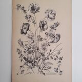 Planche florale
