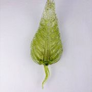 Barovier & Toso leaf-shaped wall sconce, green Murano glass, Italy, 1960s