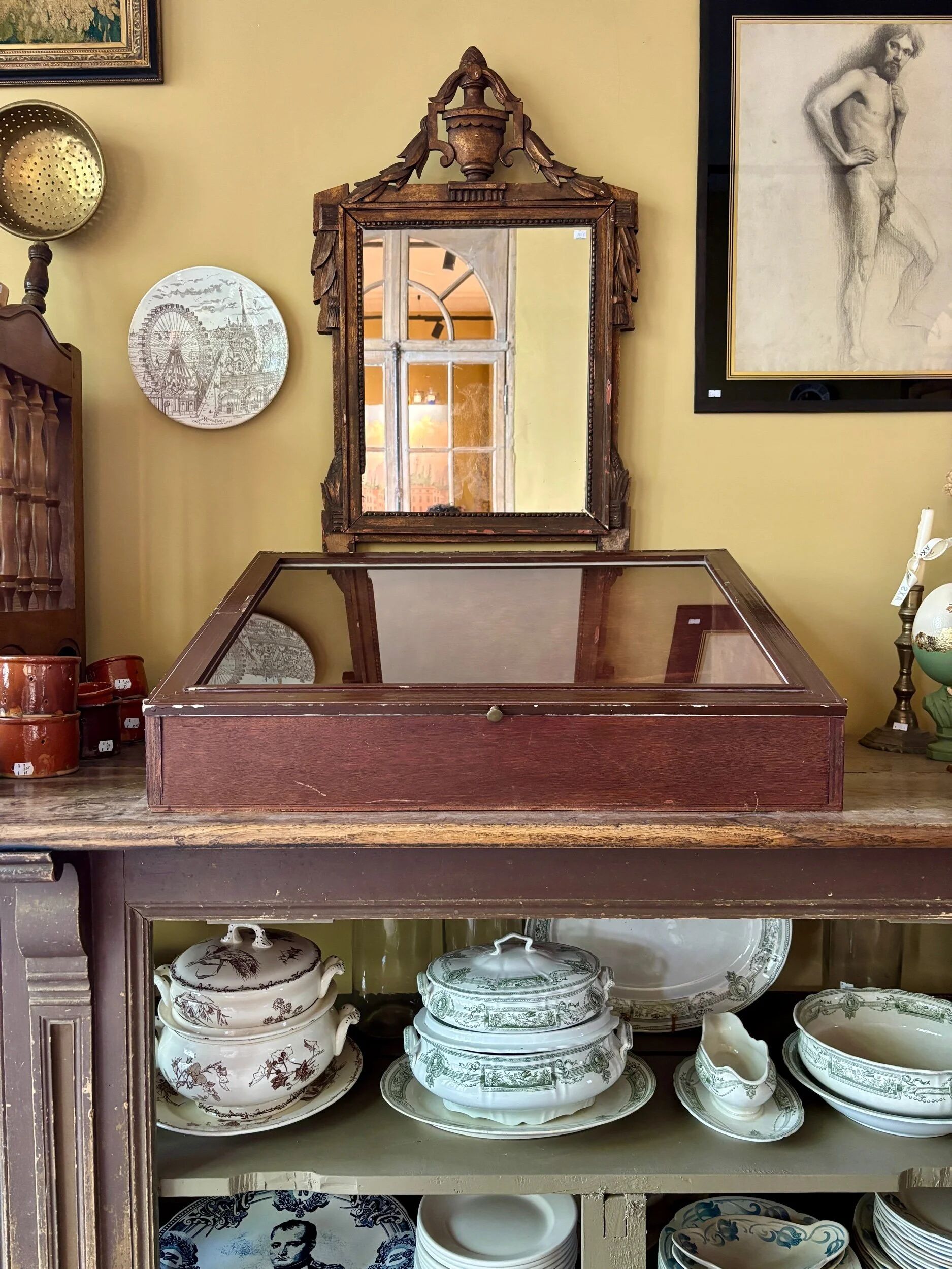 Vitrine de présentation en bois foncé et verre
