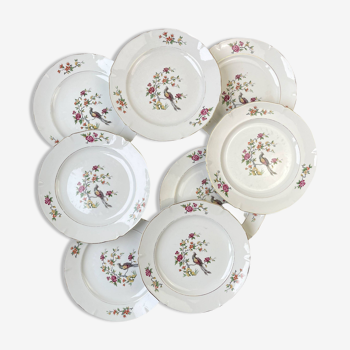 8 assiettes plates en porcelaine céranord motif oiseau de paradis modèle "regence"