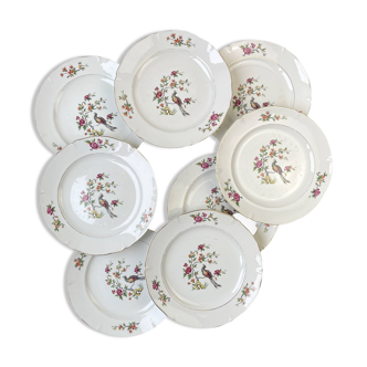 8 céranord porcelain dinner plates with bird of paradise pattern, “regence” model
