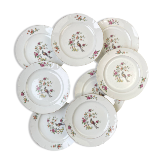 8 flat plates in Céranord porcelain, bird of paradise motif, "Regence" model