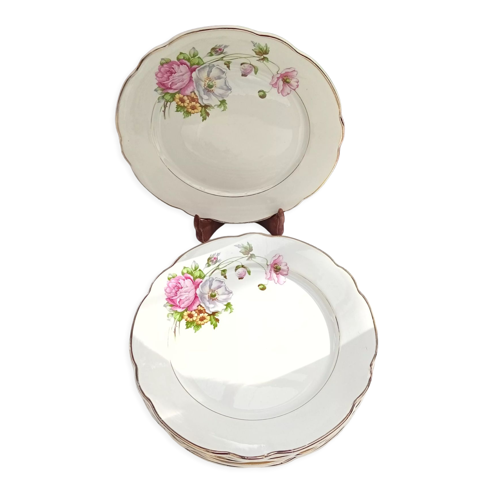 Set of 6 flat plates Digoin