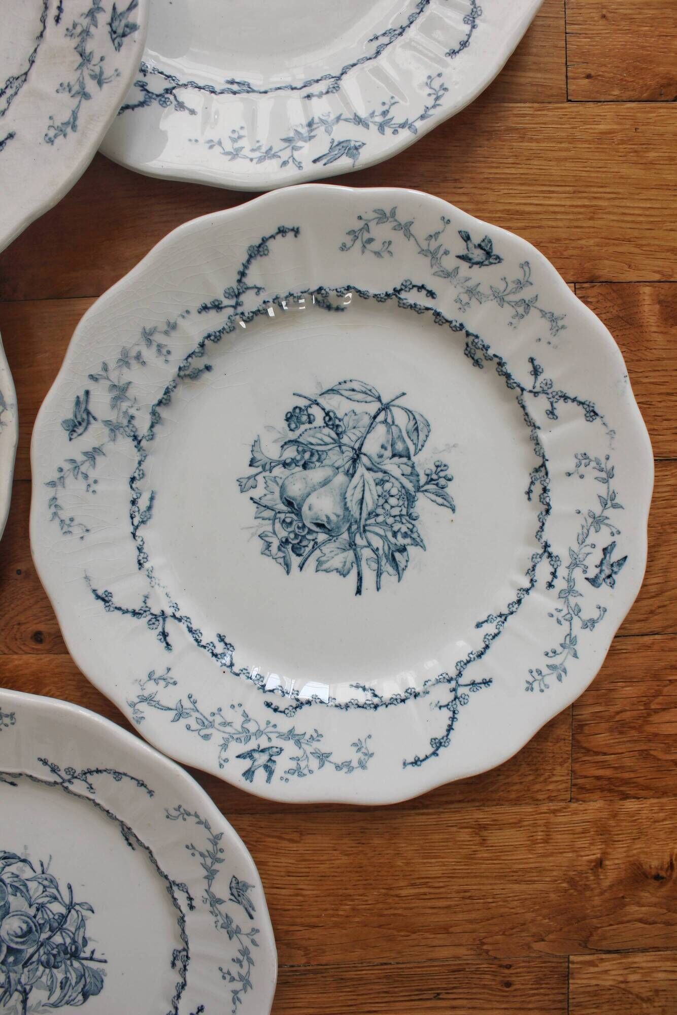 6 flat plates in iron earth Pompadour earthenware factory of Clairefontaine